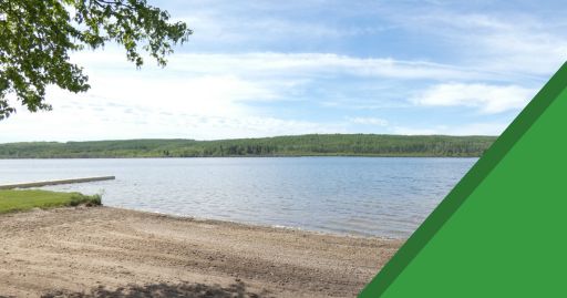 CSP CS NEWS Stoney Lake Blue-green Algae 20240813
