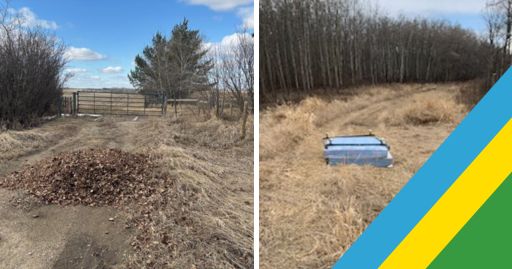 CSP BYL NEWS Bylaw Bulletin-Littering 20250502