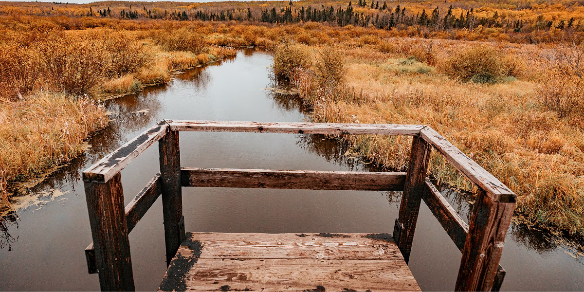 Attractions & OHV - Explore Alberta