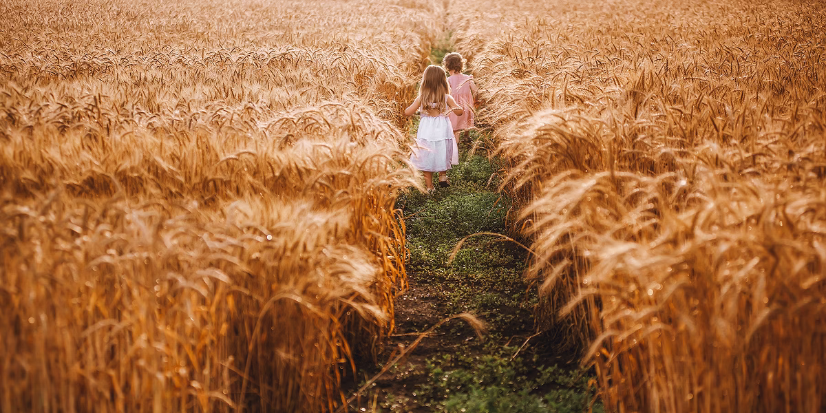 Agricultural Services - Agricultural Services Board